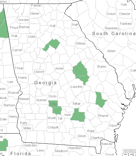 The Georgia range of Bigelowia nuttallii